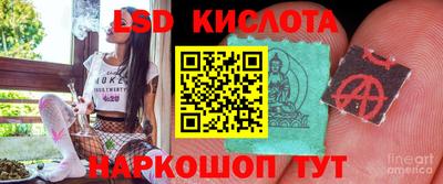 стафф Будённовск