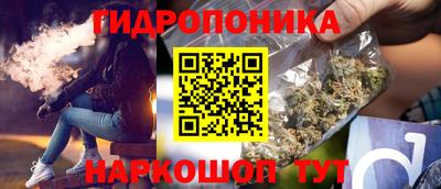 индика Волгодонск