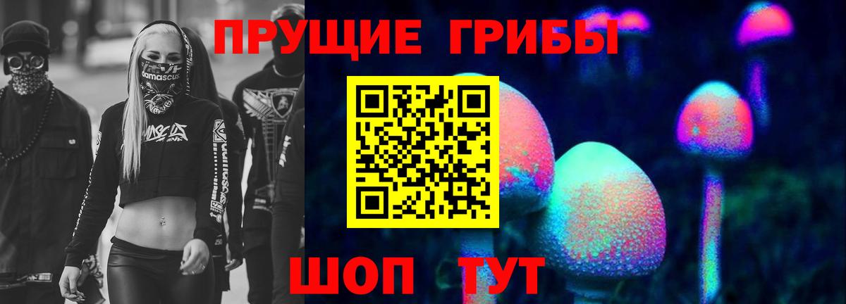 Псилоцибиновые грибы GOLDEN TEACHER Петрозаводск